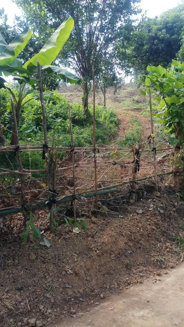 Bán đất Yên Mông, Hoà Bình view cánh đồng cao thoáng giá đầu tư