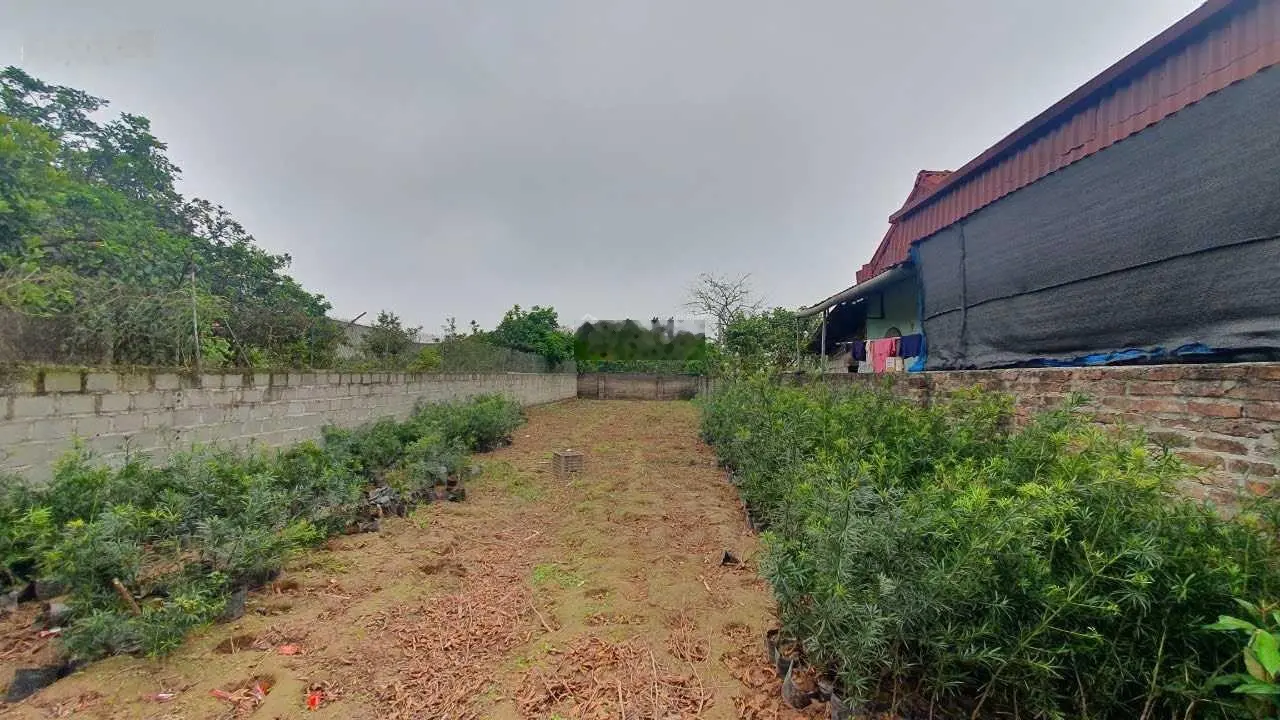 Bán đất tại Mễ Sở, Văn Giang, Hưng Yên. Diện tích 132m2