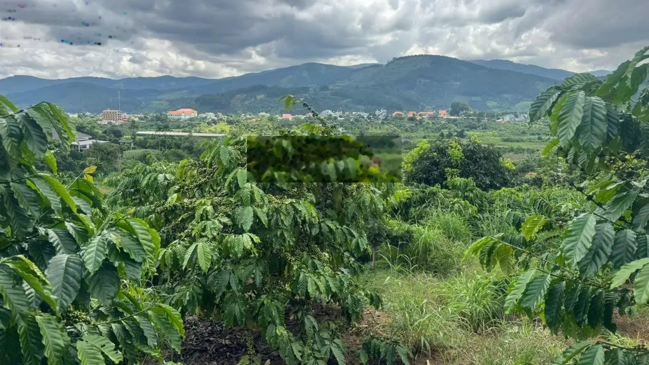 Siêu hot !! Đất thôn 2 Mê Linh cách chợ Đà Lạt chỉ 20 km. Sổ hồng sẵn thổ cư chỉ từ 550 tr