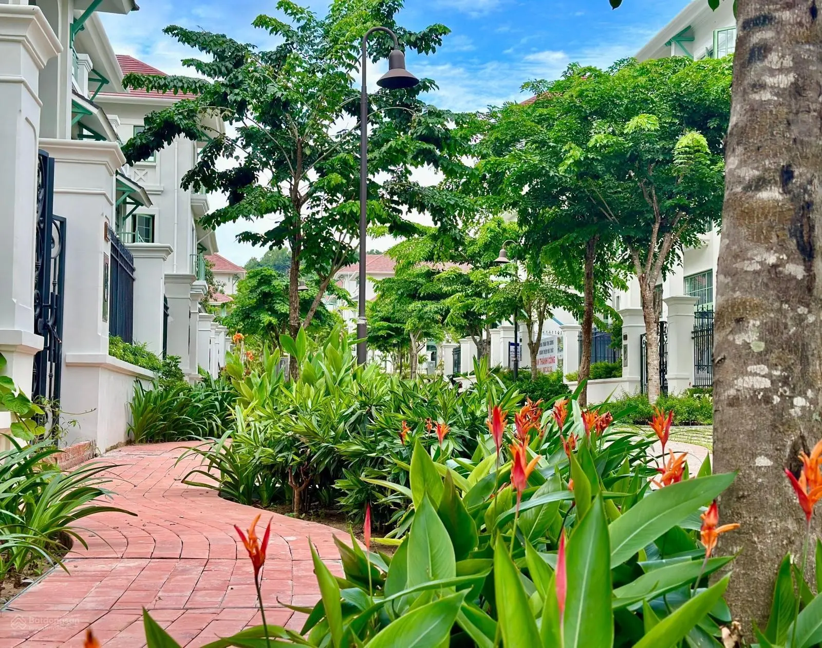 Bán Villa ngay biển Bãi Khem giá 15tỷ tặng gói hoàn thiện nội thất