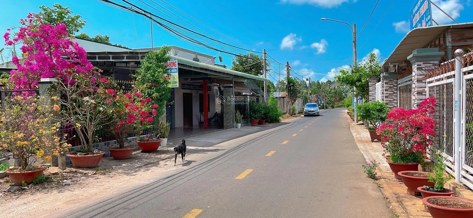 Bán đất thị trấn Đất Đỏ Bà Rịa Vũng Tàu DT 162m2 mặt tiền đường nhựa rộng 10m