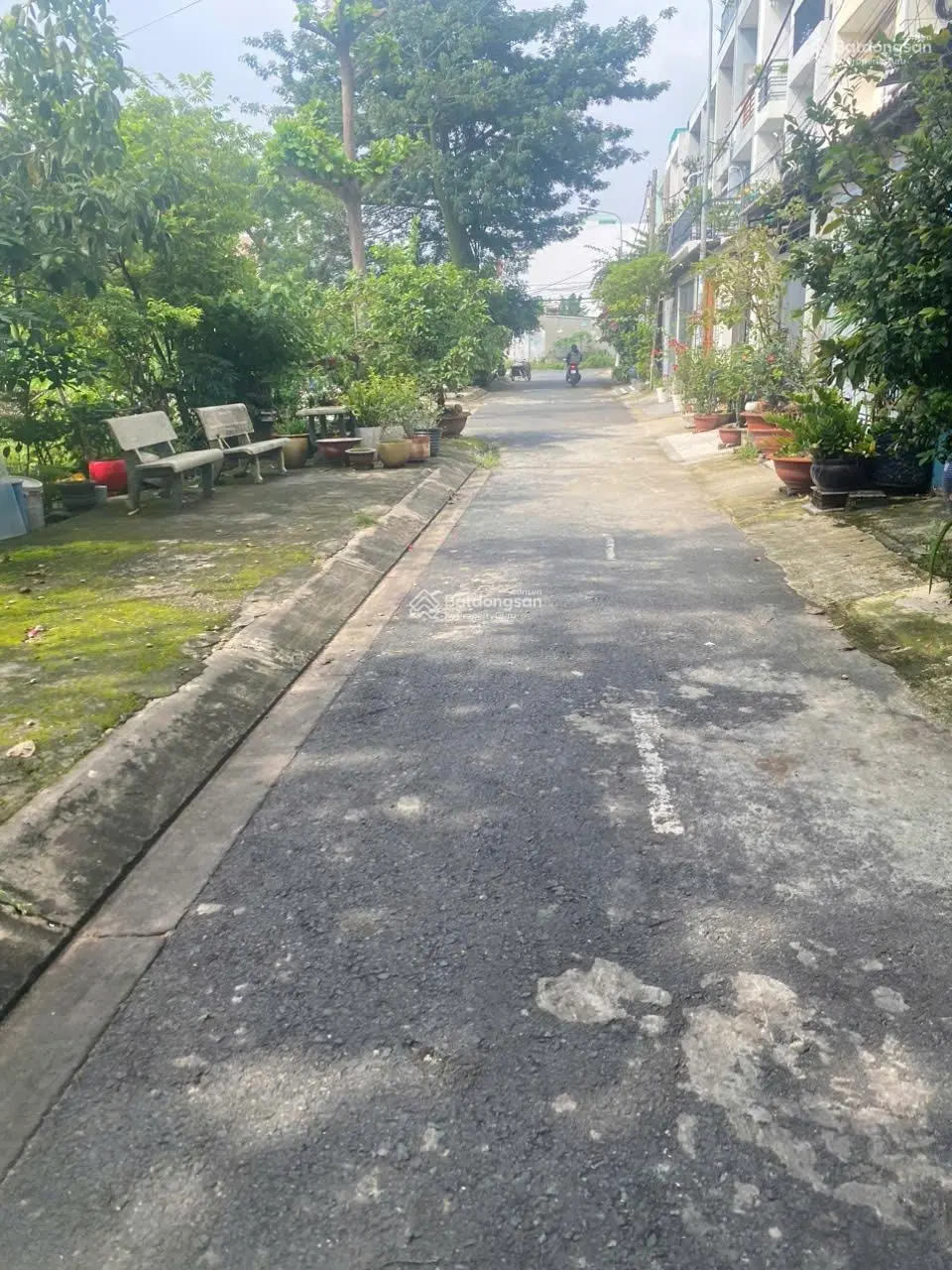 Bán đất nền đẹp tại đường Tân Hưng Thuận, diện tích 100m2 - siêu hời
