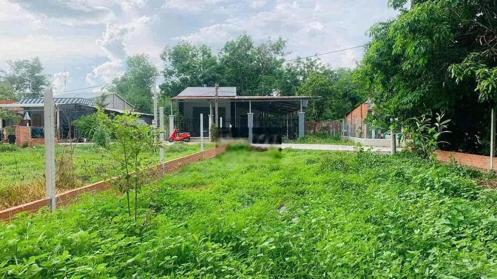 196M2 Sát Chợ Trảng Bàng SHR KDC Đông Đúc Đường Nhựa 490 TRIỆU