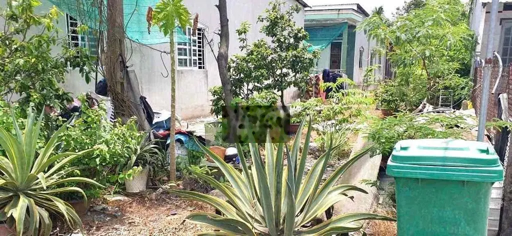 BÁN NỀN MẶT TIỀN LỘ VÒNG CUNG TL923