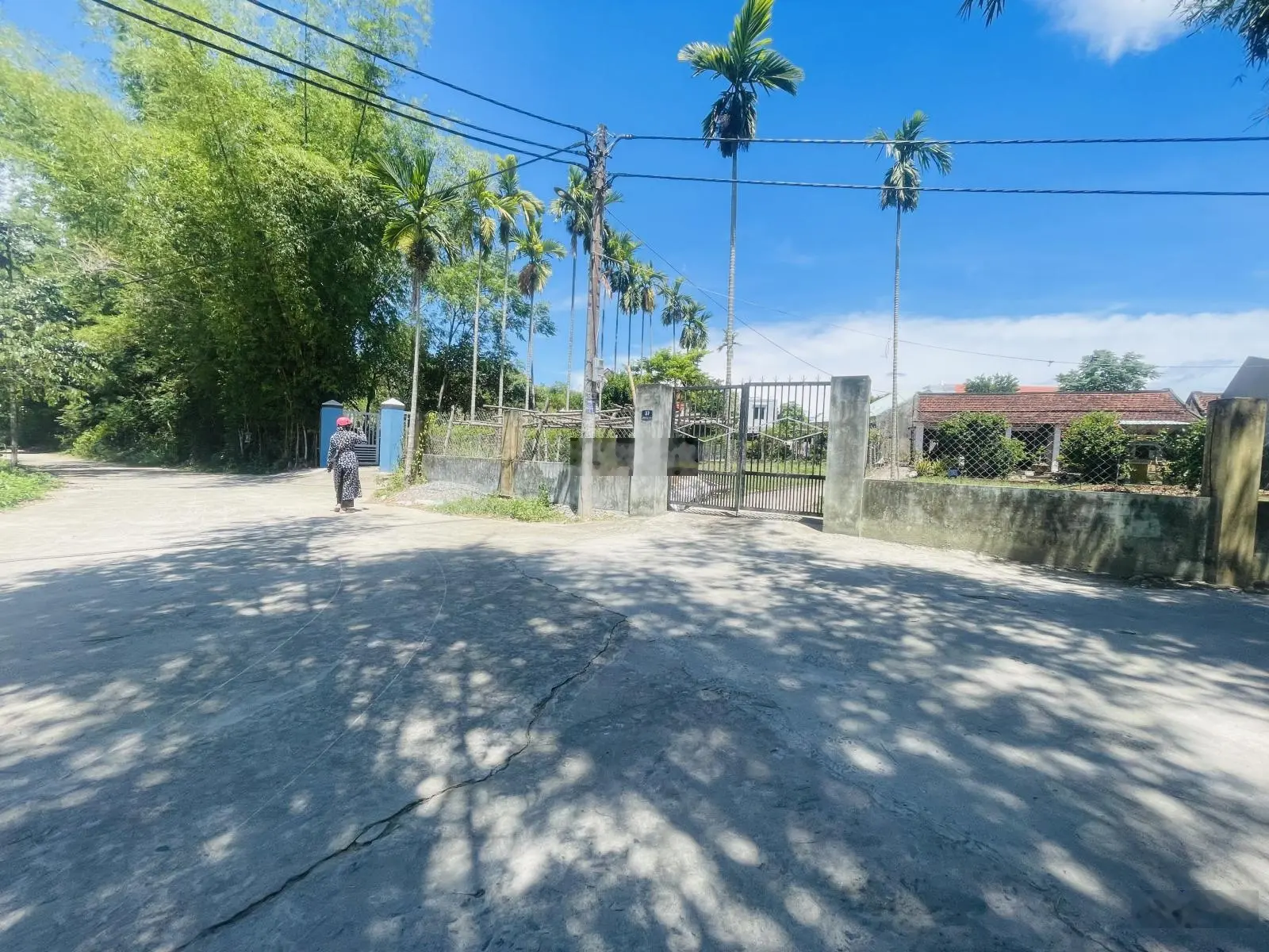 Tôi cần bán lô đất Điện Thắng Bắc, cách Quốc lộ 1A 300m. Giá sụp sàn