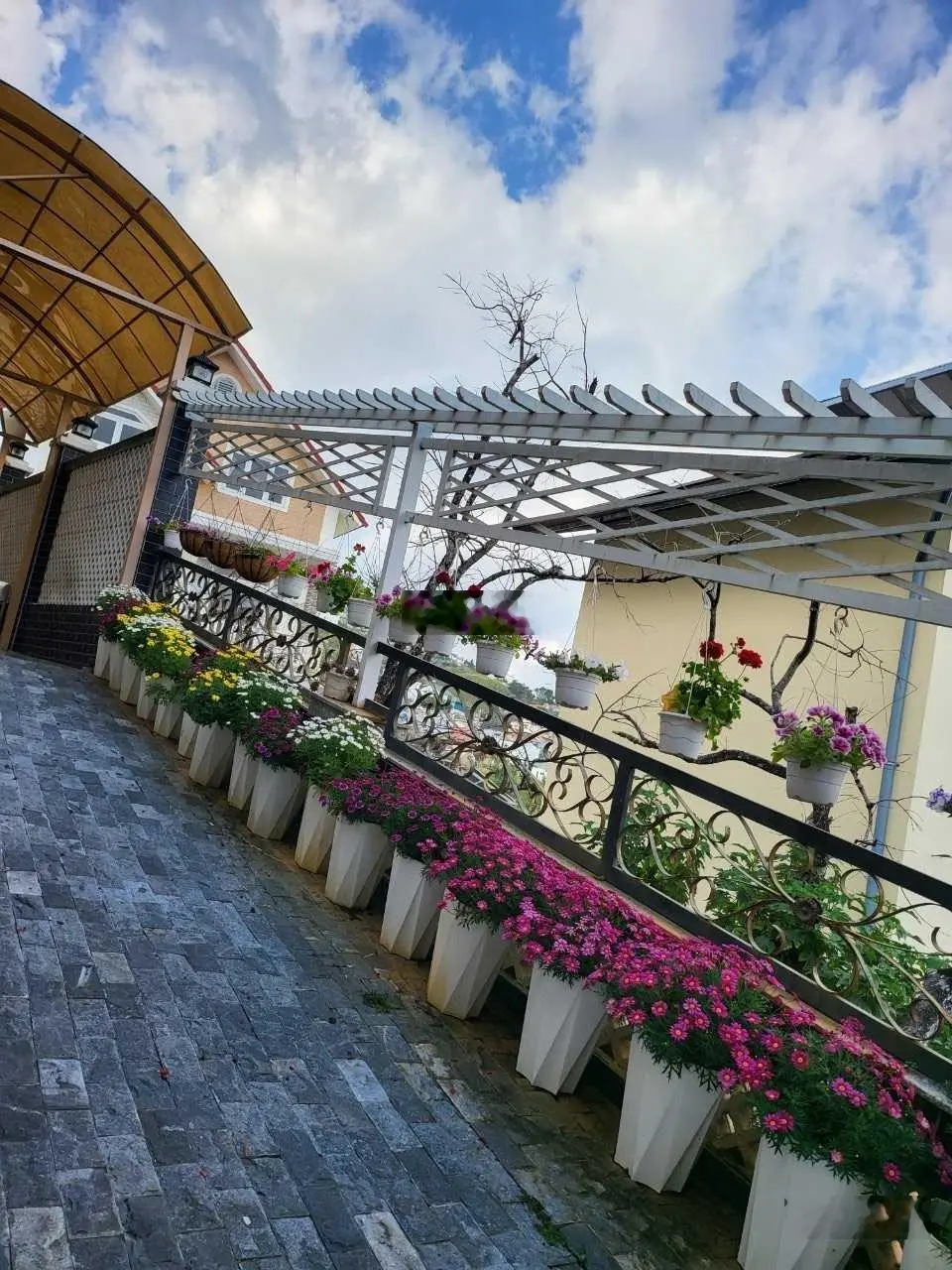 Ngắm Trọn Đà Lạt từ trên cao tại căn villa view cáp treo ngay trung tâm S: 269m2, STT 300m2