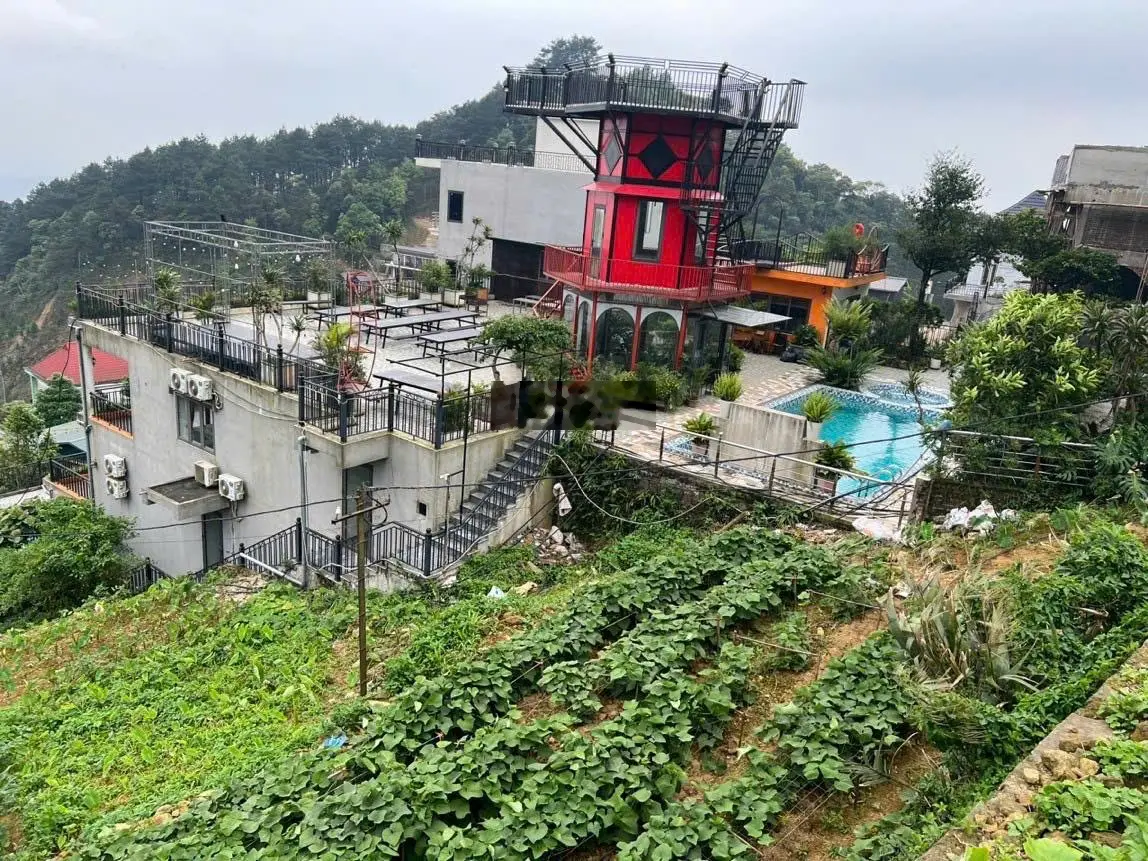 Bán đất đẹp tại khu nghỉ dưỡng Tam Đảo, giá tốt nhất chỉ 21,5 tỷ vnd