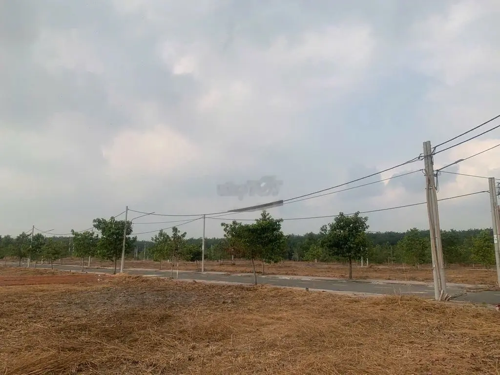 Mở bán 10 lô đất đẹp DA Central Poin Bình Dương, Giá 2tỷ5, DT 80m2