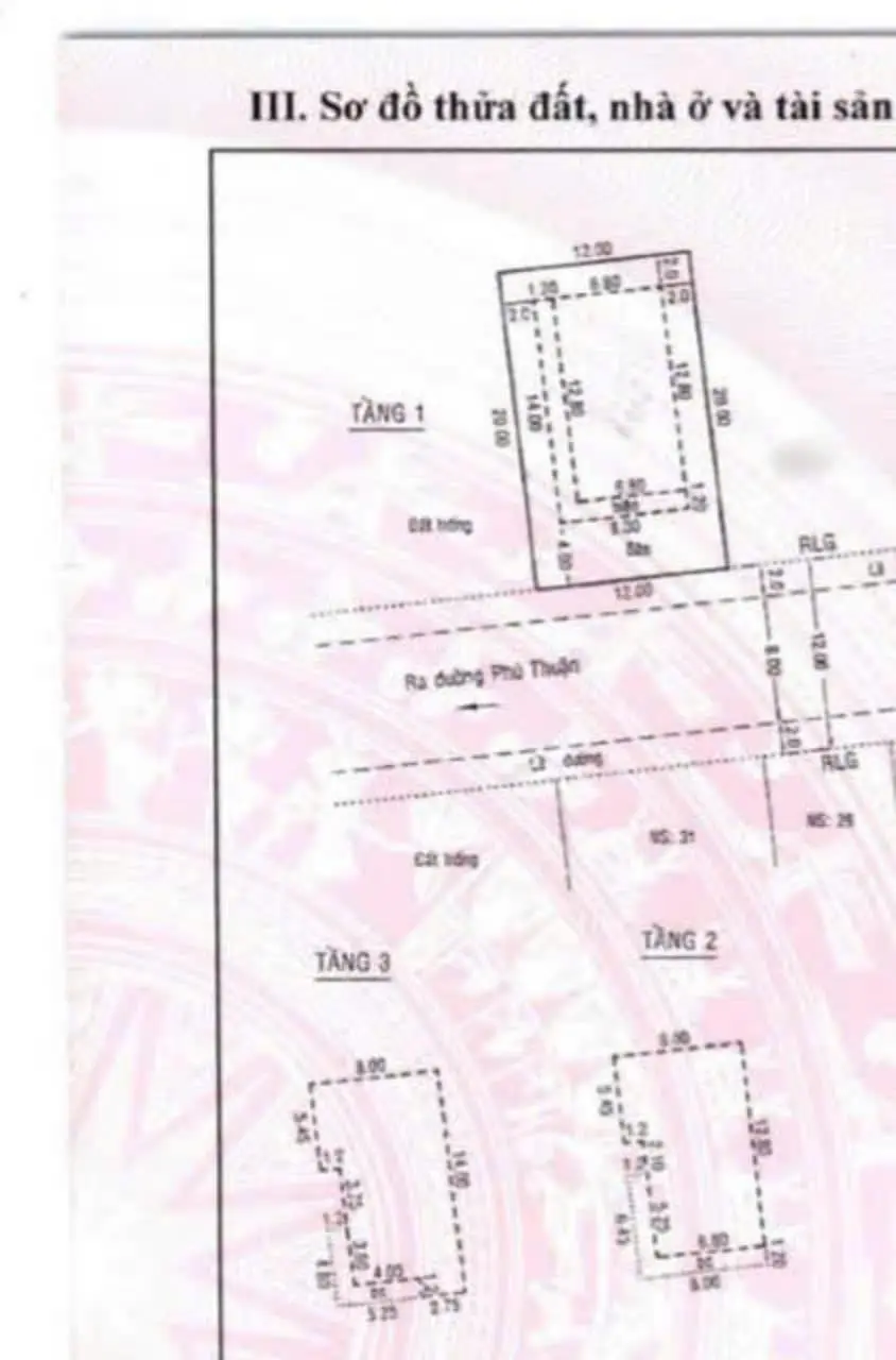 Bán gấp biệt thự cao cấp tấn trường - đ. phú thuận - quận 7 .