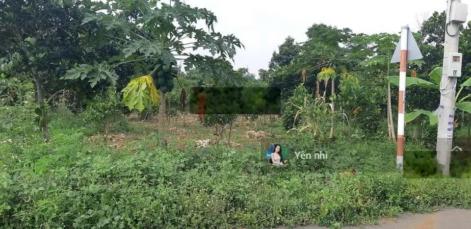Cần bán đất Đ. Nguyễn Văn Lâu, P. 8, Vĩnh Long, 120m2, SHR