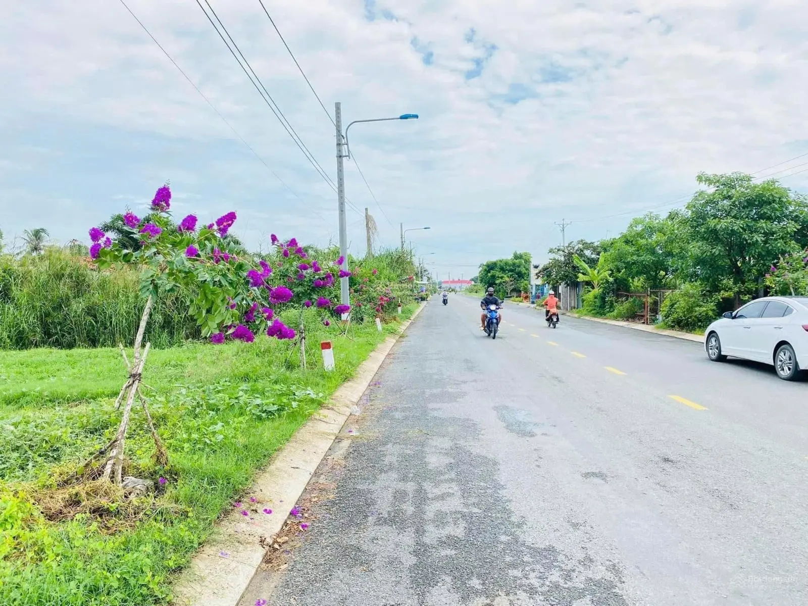 Đất Tân Trụ, đất thị trấn ODT, mặt tiền 833, đối diện cây xăng