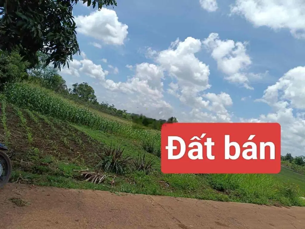 ĐẤT THỊ XÃ BUÔN HỒ Dt: 6*28 thổ cư 60m