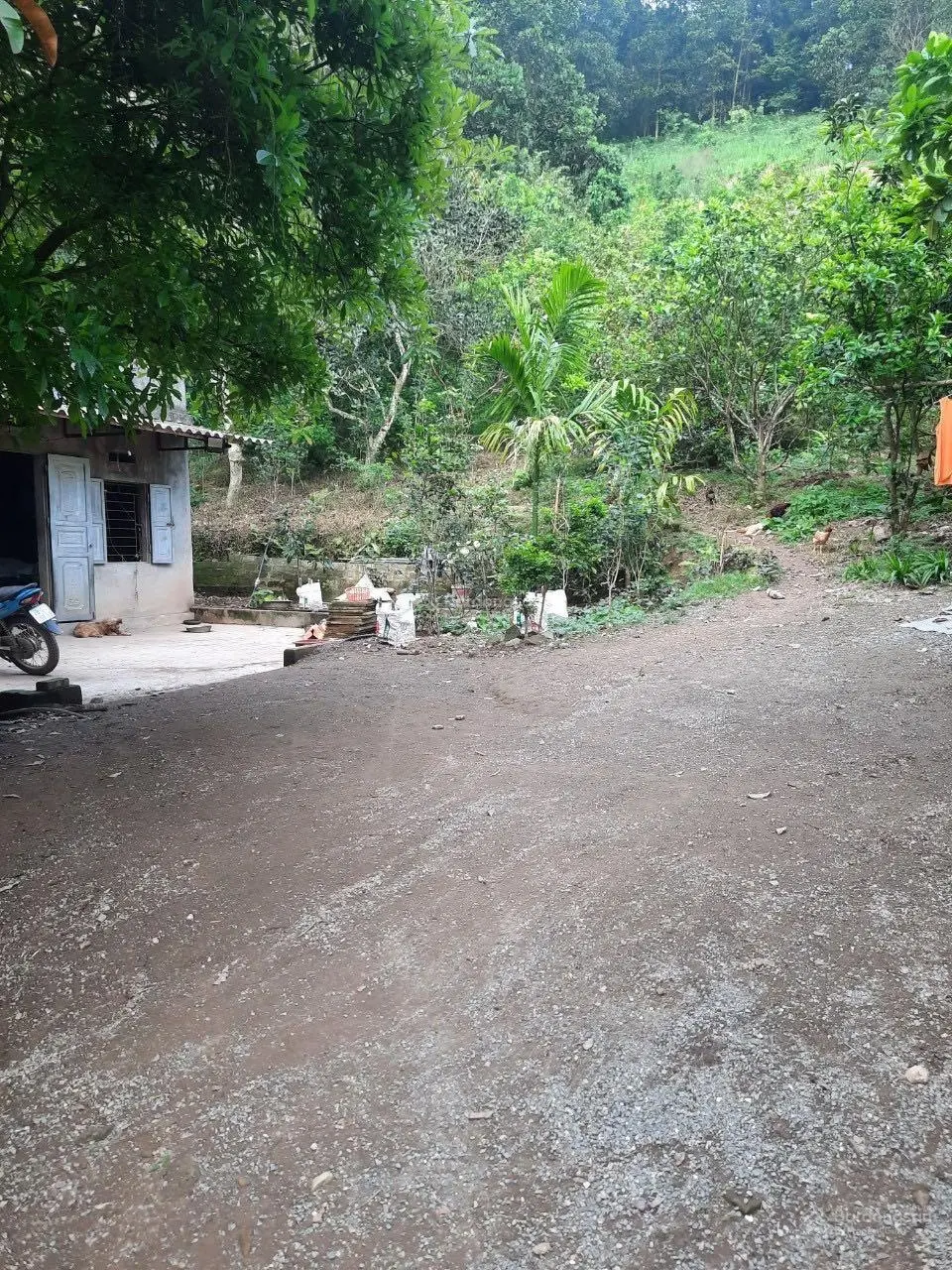 Chuyển nhượng lô đất 22000m tại Lương Sơn, Hoà Bình, LH: 0989 342 ***