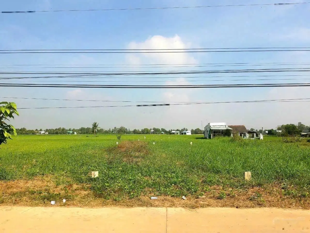 Chủ gửi bán nền đất thổ cư 240m2 mặt tiền đường đan 8m, gần QL50 giá tốt, SHR