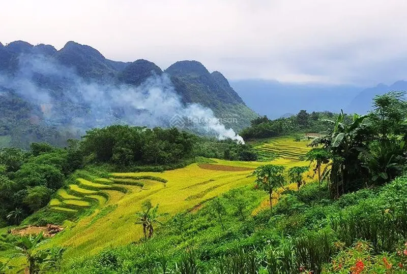 Bán Siêu phẩm Đất nghỉ dưỡng ngay trung tâm khu du lịch số 1 của pù luông bá thước thanh hoá .