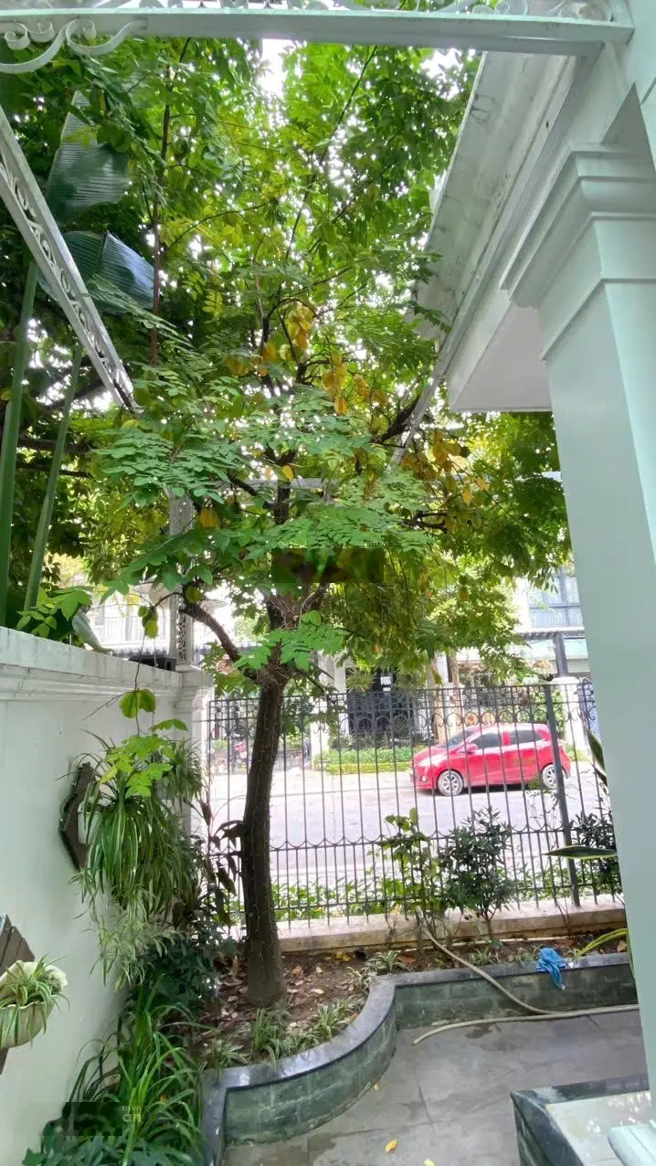 Top 1! Phân khu Nguyệt Quế - biệt thự đơn lập góc giá tốt nhất tại Vinhomes Star City Thanh Hóa