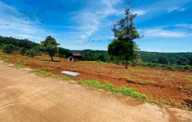 Bán 300m2 đất vườn có 100m2 thổ cư Đồng Phú, Bình Phước