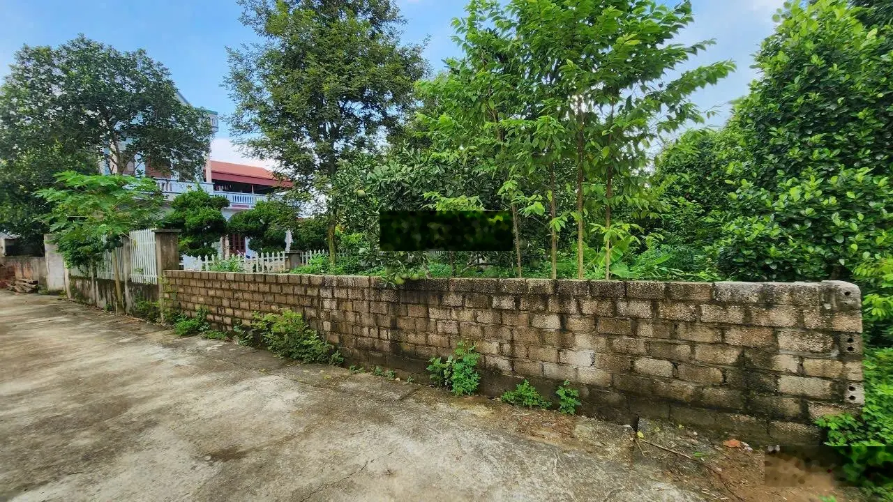 Chính chủ gửi bán lô đất siêu rẻ tại tân xã thạch thất hà nội giá chỉ hơn 20tr/m