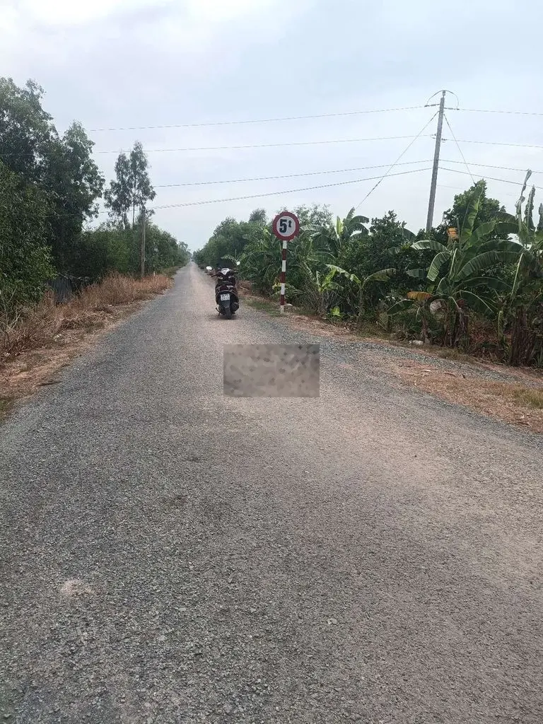 Bán đất chính chủ Tân thạnh Long An