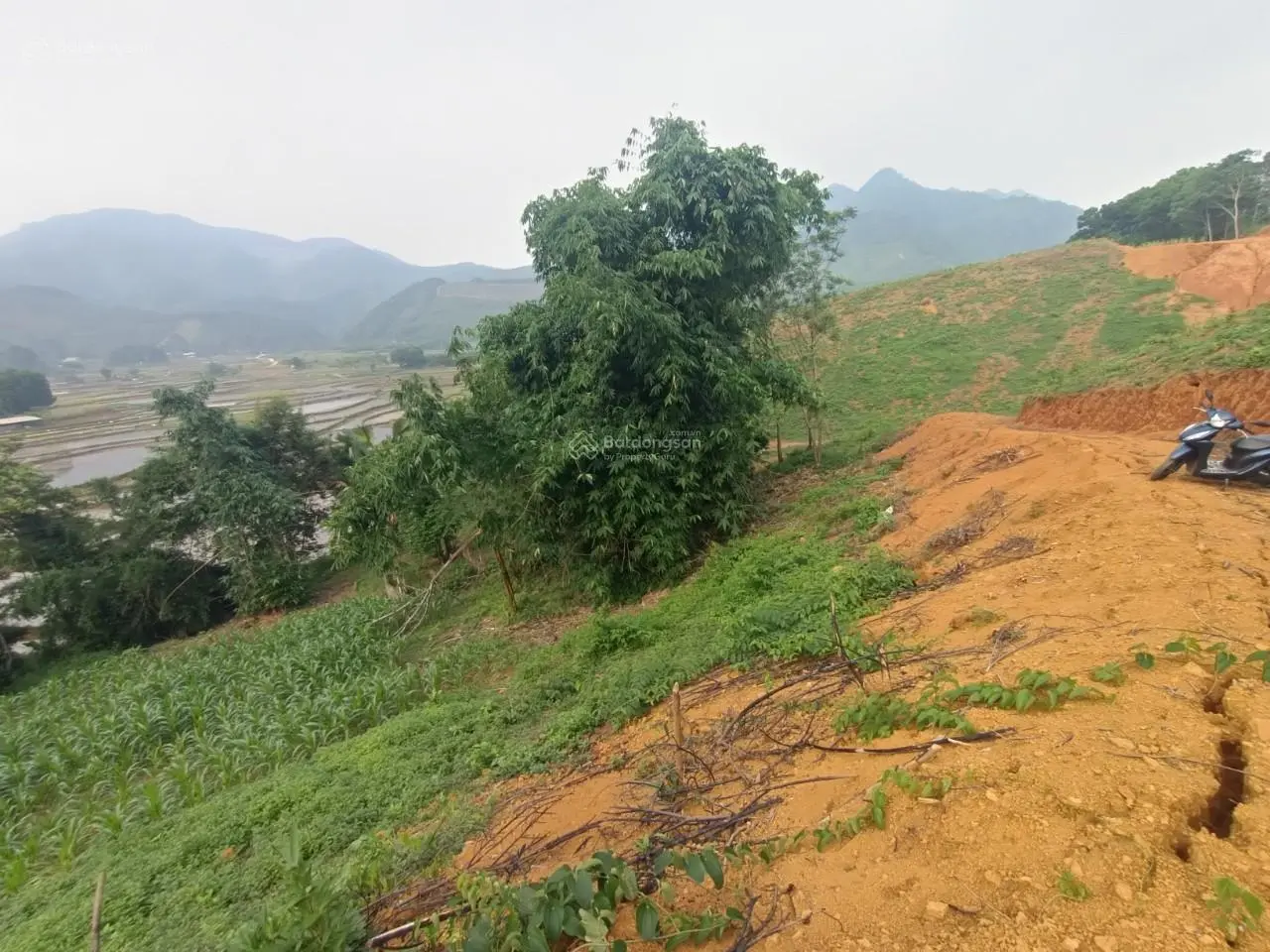 Bán đất tại Kim Sơn, Kim Bôi, Hòa Bình. Diện tích 7000m2, giá thương lượng
