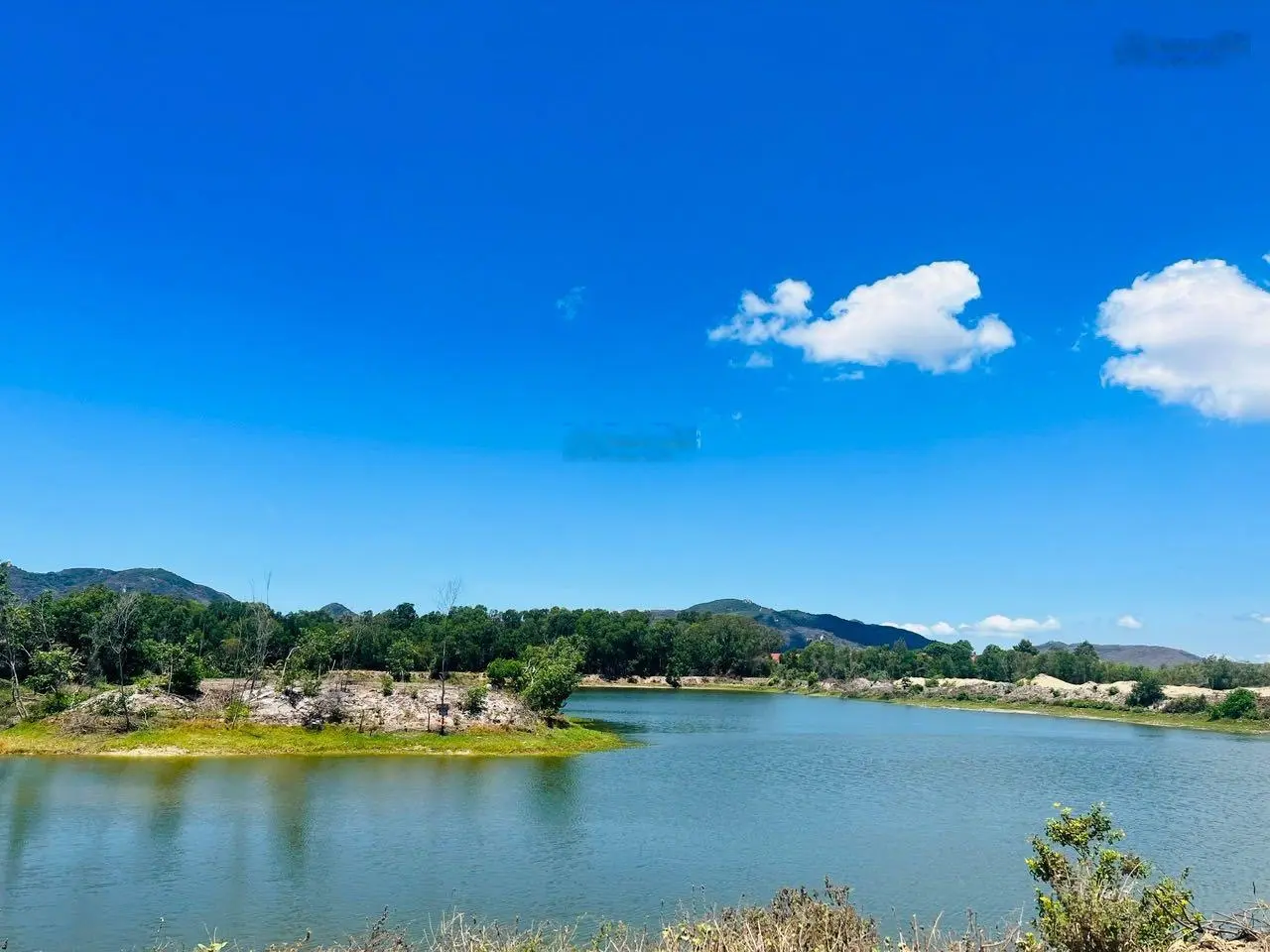 Siêu phẩm gần 1 mẫu đất gần biển Phước Hải thuận tiện làm homestay bao đẹp ạ