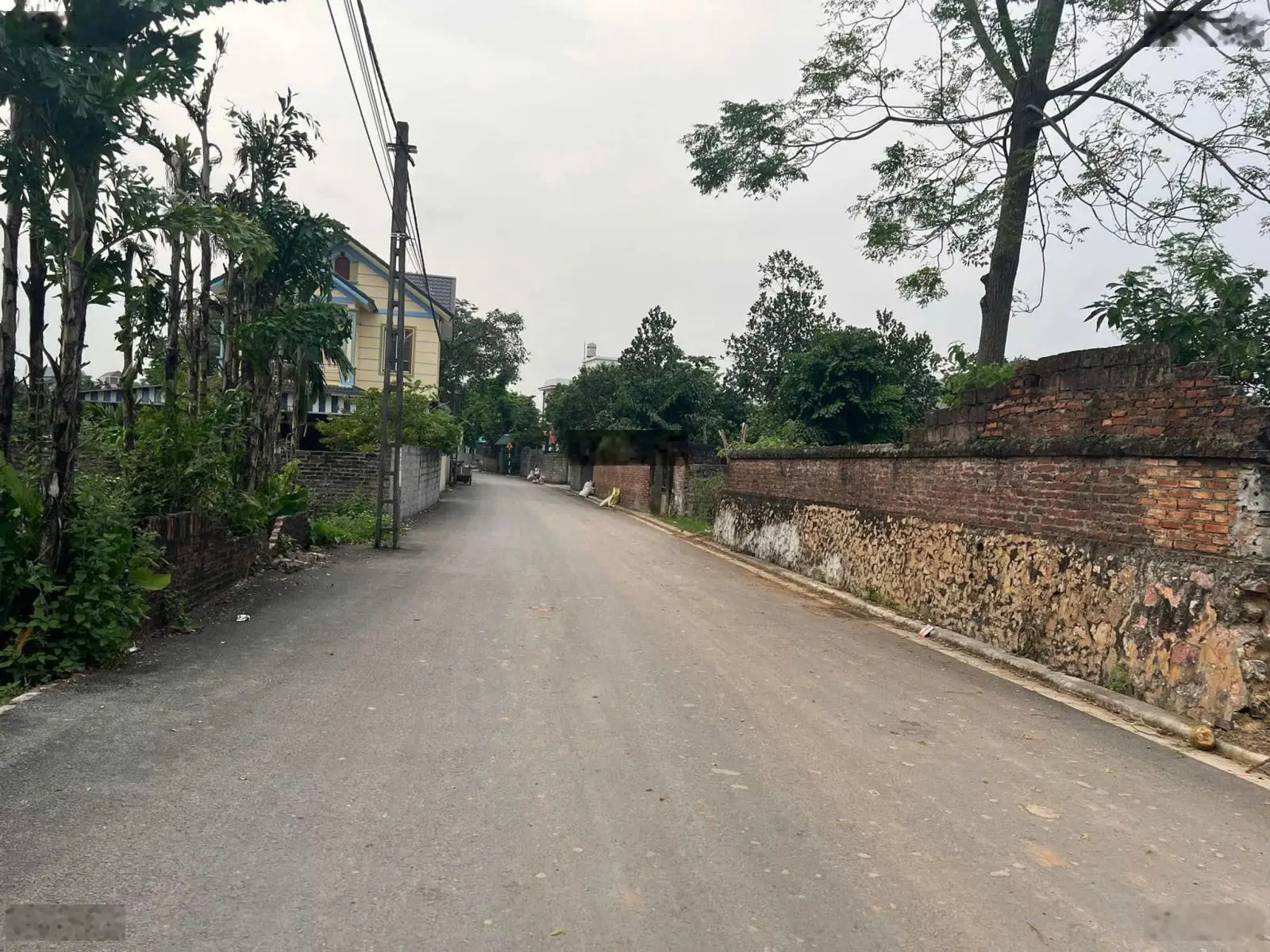 CHÍNH CHỦ cần bán 328m full thổ cư, mặt tiền 14m, 2 mặt đường trước sau, cách đường TL421 chỉ 500m