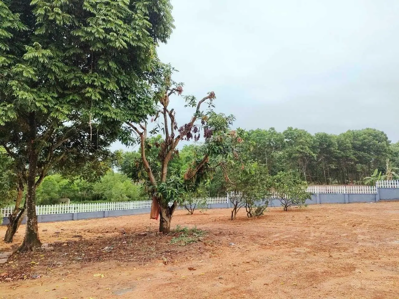 Bán đất diện tích 3218,4m2, giá 13,1 tỷ tại Xuân Sơn, Sơn Tây