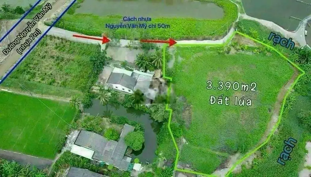 3.400m2 cách nhựa Nguyễn Văn Mỹ 50m, tỉnh lộ 833 - 300m