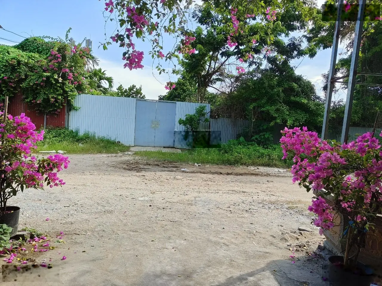 Bán nhà 2 N Thạch Cầu, đường 11m, không khí trong lành, đón tương lai cầu Trần Hưng Đạo, 88m2 2.8tỷ