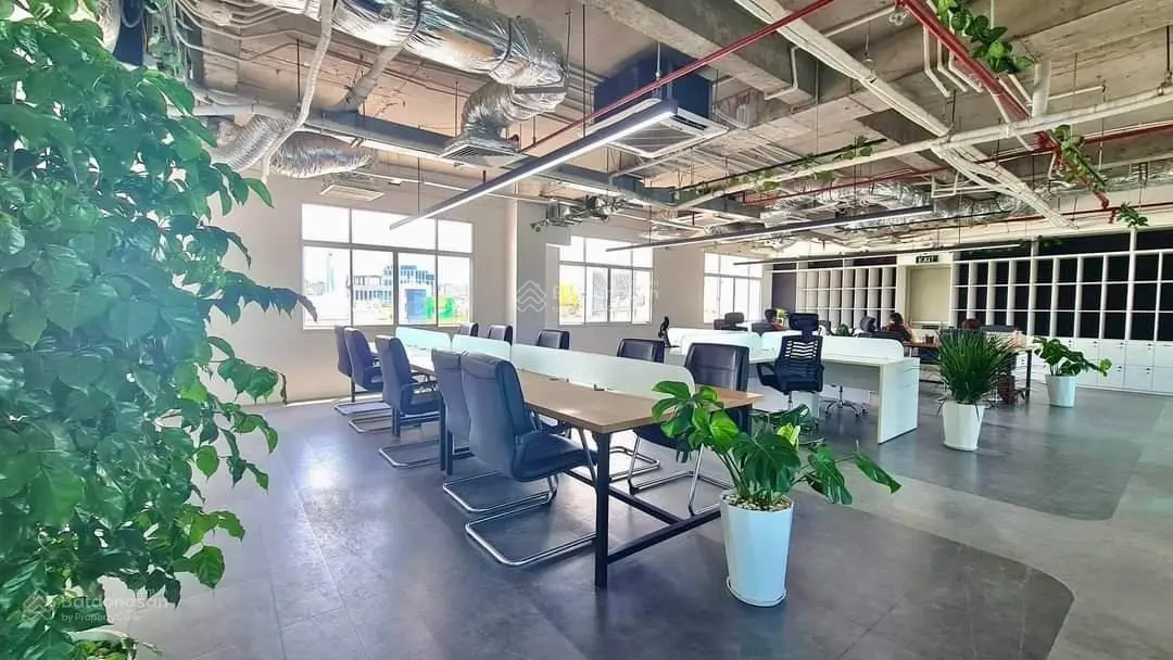 Building VP MT Lạc Long Quân / Tân Bình / DT: 8.1x20m / Hầm 6 tầng / HDT:120tr / Gía 56.5 tỷ TL