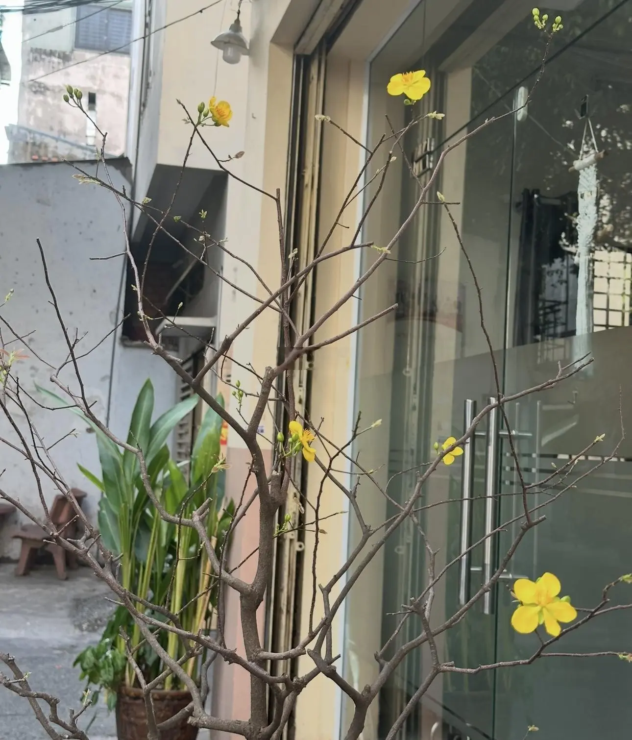 Nhà 50m2 - 2t - hẻm xe hơi né - dân trí cao - kinh doanh đa ngành - sát sân bay - công viên .