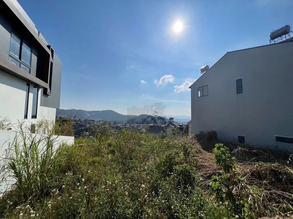 Đất view thung lũng rừng thông Khe Sanh 227m2 cách Hồ Xuân Hương 2,5km