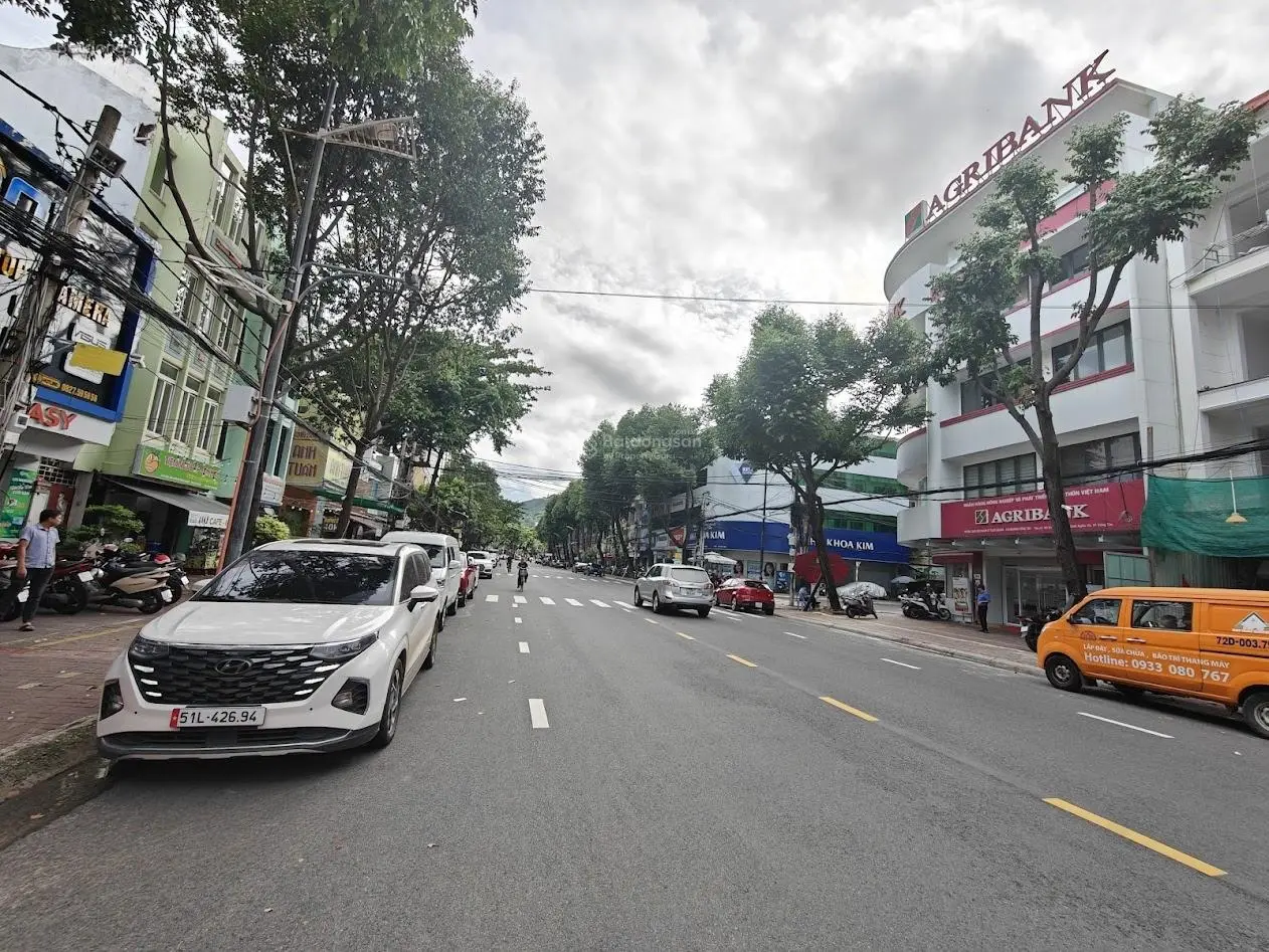 Cơ hội sở hữu mặt tiền Nam Kỳ Khởi Nghĩa, trục chính, thích hợp xây tòa nhà văn phòng công ty