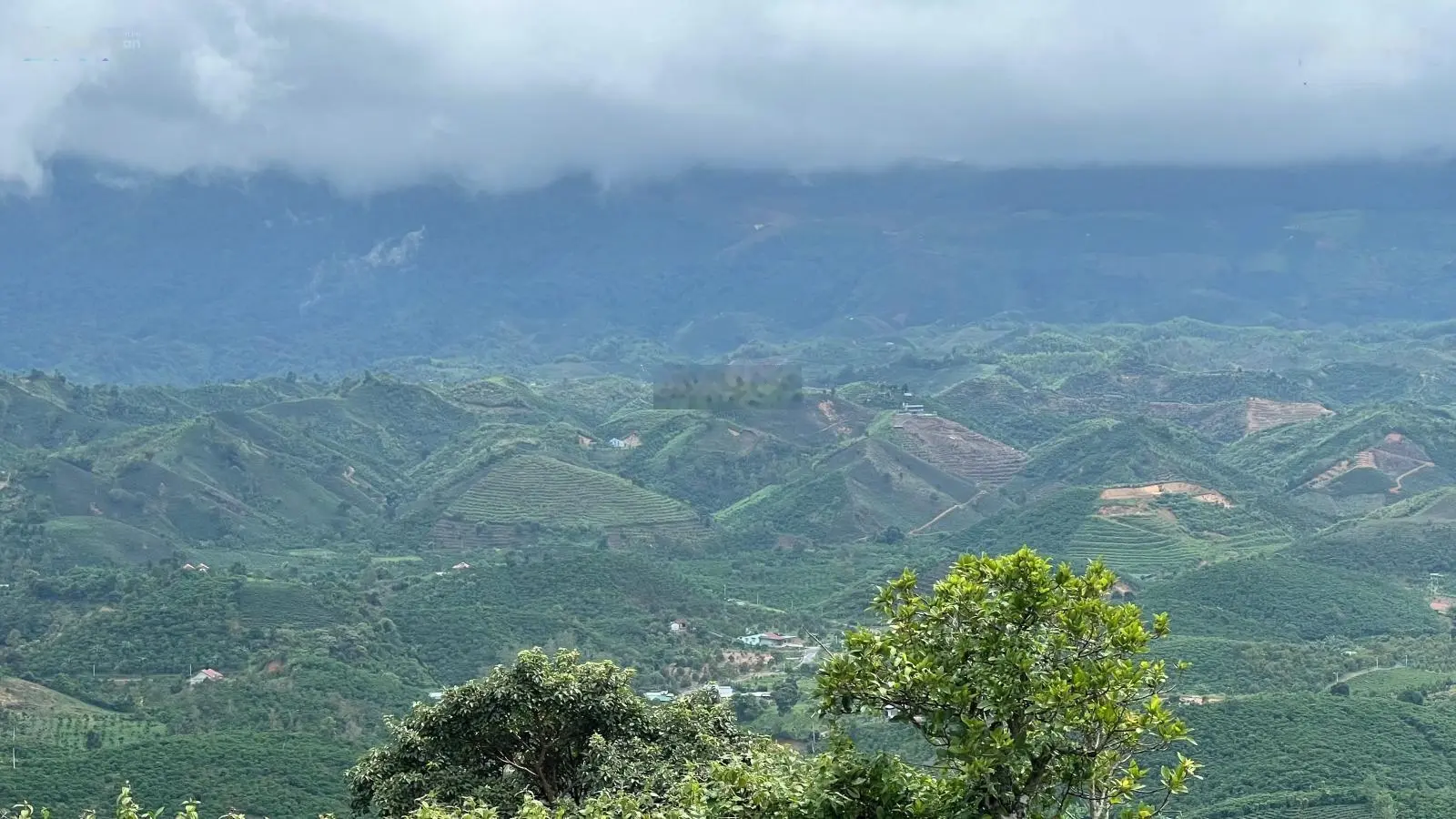 Bán lô đất 1000m2 có 100m2 thổ cư SHR, view săn mây tuyệt đẹp tại Lộc Thành-cách TP.Bảo Lộc chỉ 15P