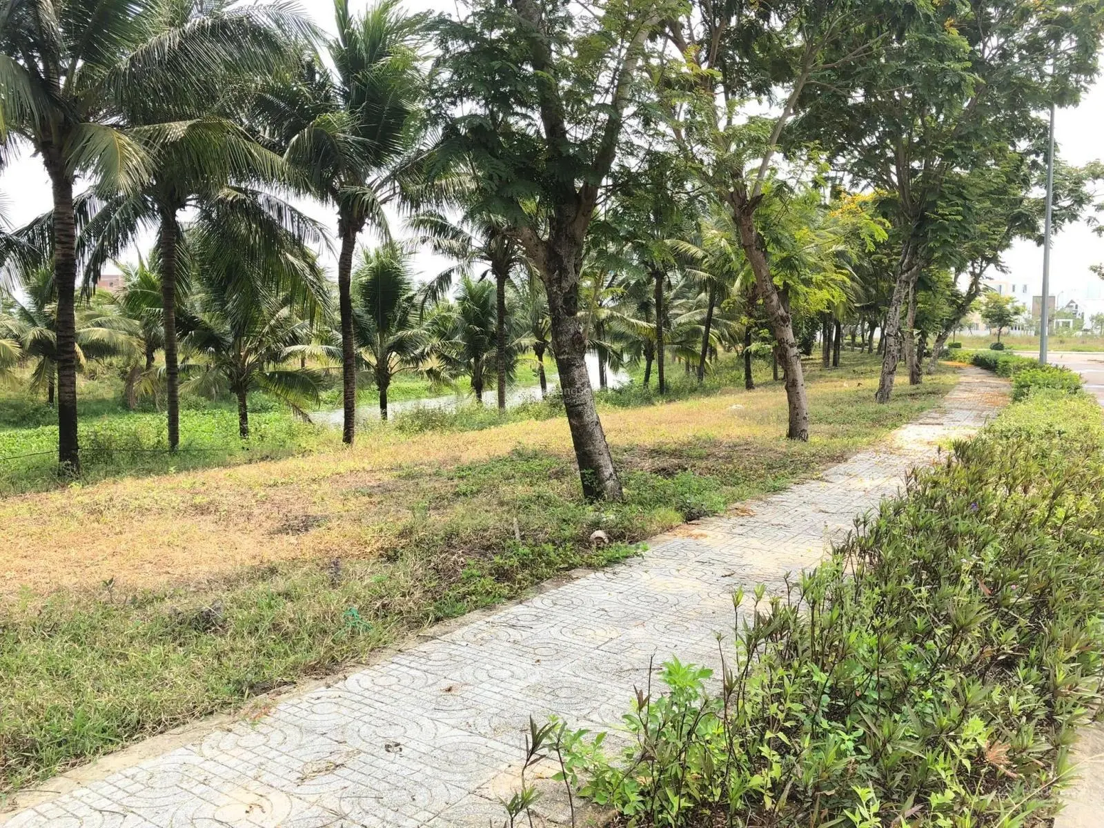 Đất biệt thự FPT Đà Nẵng, View kênh sông Cổ Cò, 2 mặt tiền, giá chỉ 29,5 triệu/m2, 600m2