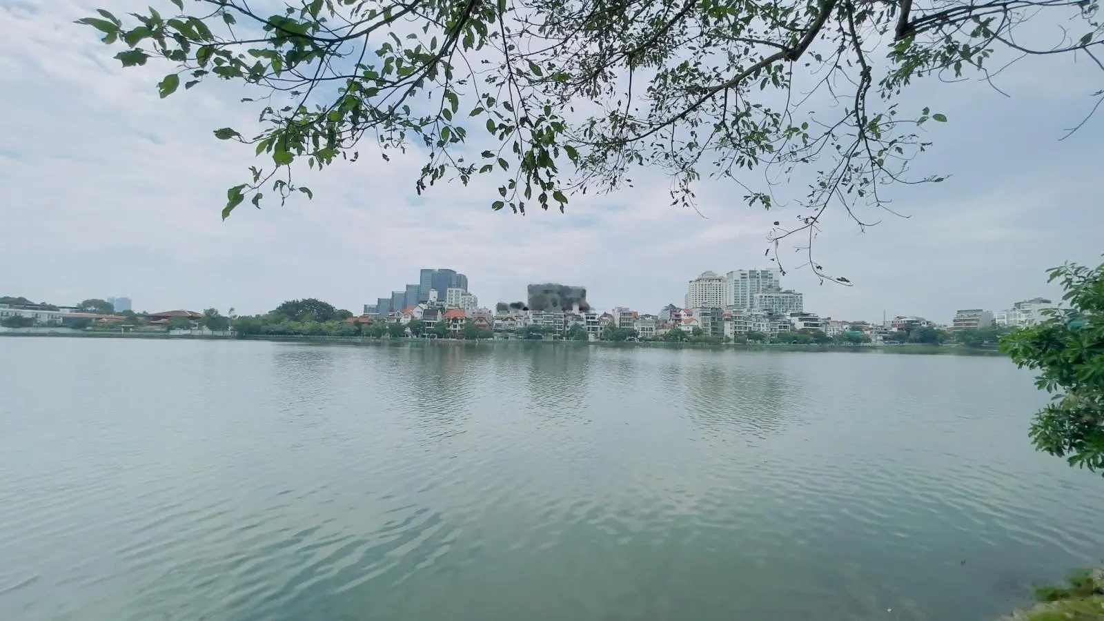 Chính chủ bán nhà mặt phố Từ Hoa 250m*6T MT 12m thang máy, vỉa hè doanh thu trên 3tỷ/ năm chỉ 168tỷ