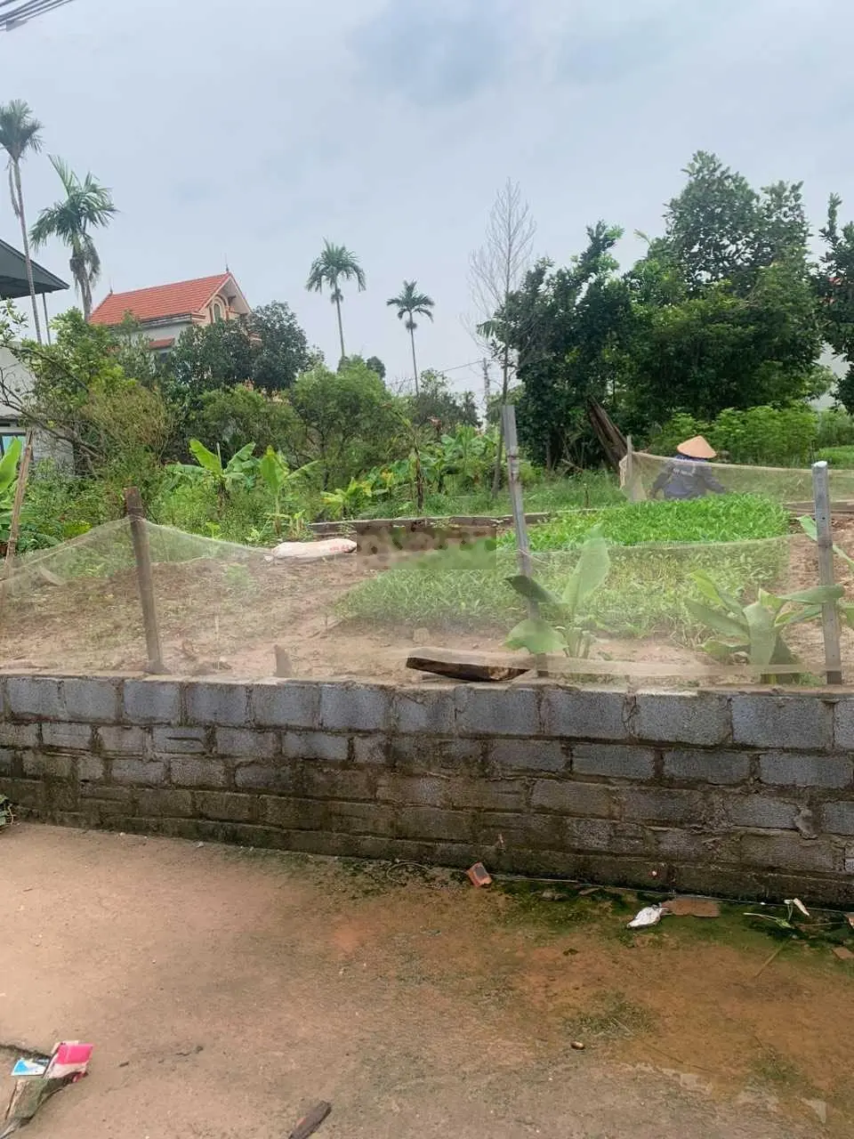Cần bán mảnh đất vuông vắn tại Chương Dương, Thường Tín. Diện tích 45m2, giá 660 triệu