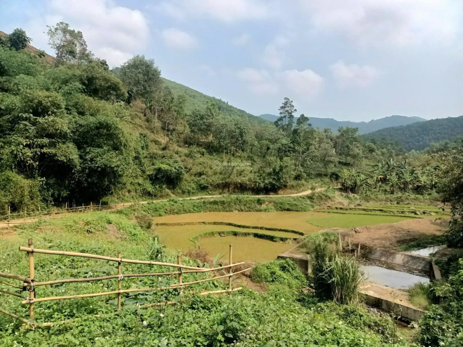 Tổng diện 2,3ha có 856m2 thổ cư có 344m2 cln tại Kim Sơn, Kim Bôi, Hòa Bình