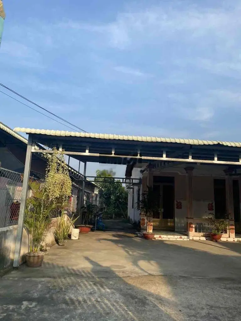 Đất tại đô thị full thổ xe hơi tận đất 481 m2 Shr 10tr/m2