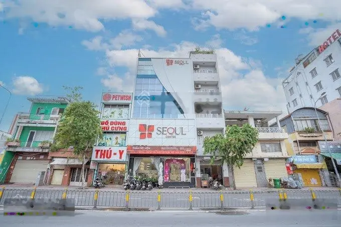 Ngộp bank! Bán gấp Tòa nhà MT Trần Hưng Đạo, Quận 5, 6x24m, 6 Tầng - HĐT: 6000$, giá 46 tỷ