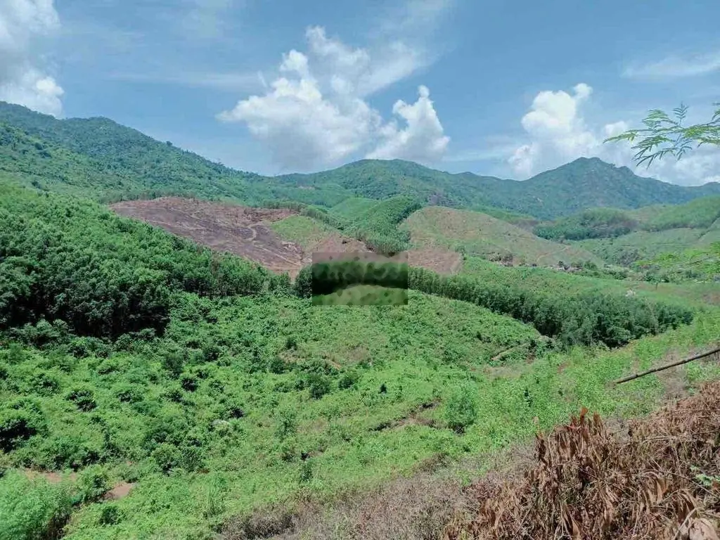 10 tỷ sở hữu 27.4ha làm du lịch Nông Nghiệp, Sinh Thái tại Ninh Tây
