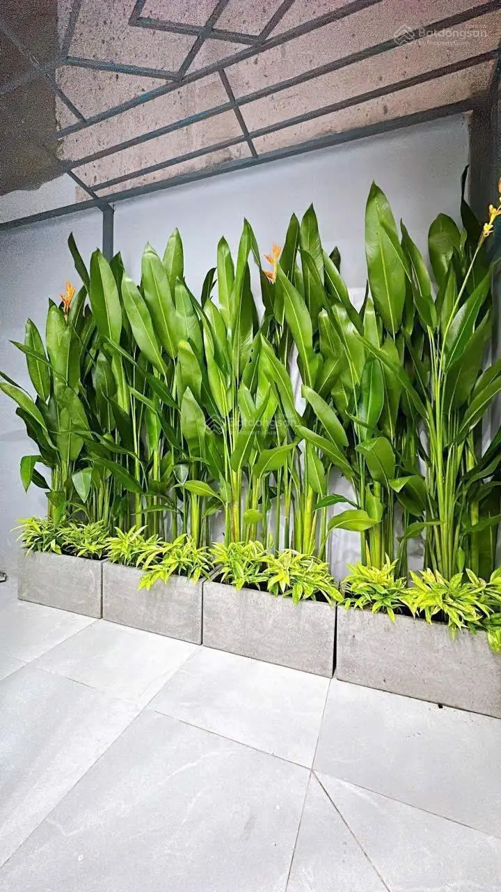 MT hẻm 12m Lê Văn Lương 5x20m 3 tầng full NT hiện đại 11tỷ4