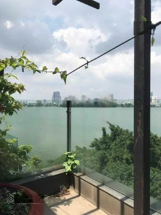 Tòa siêu chdv mặt phố quảng khánh, hồ tây - 282m2, mặt tiền 14m - đỉnh cao sang trọng