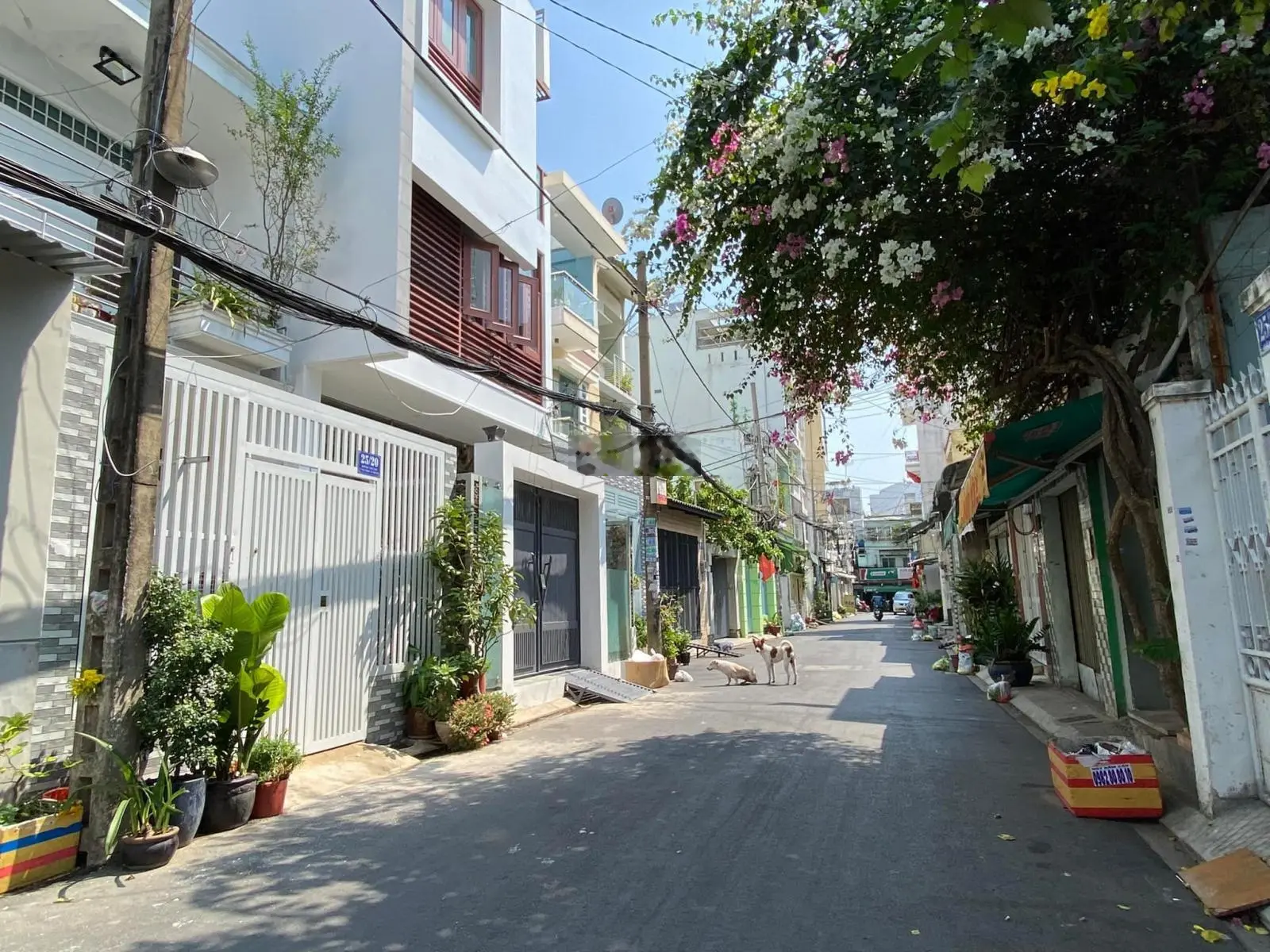 Hẻm 6m Khu Tô Hiệu 5.3x16m cấp 4 giá 8 tỷ