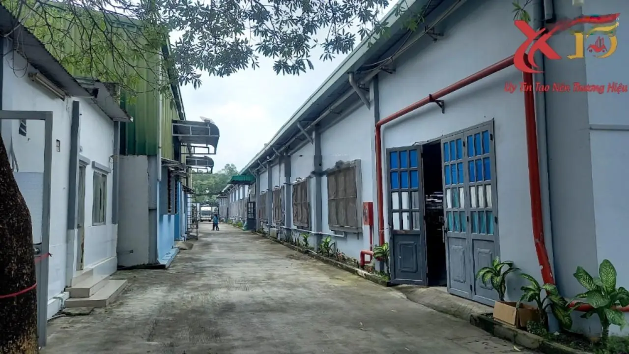 Cần bán nhà xưởng may mặc 11.800 m2 chỉ 90 tỷ