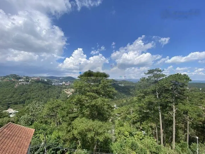 Đất biệt thự đường Hoàng Hoa Thám. DT: 360m2. Gần dinh 3, cách HXH 2km. View rừng thông. Giá 10 tỷ