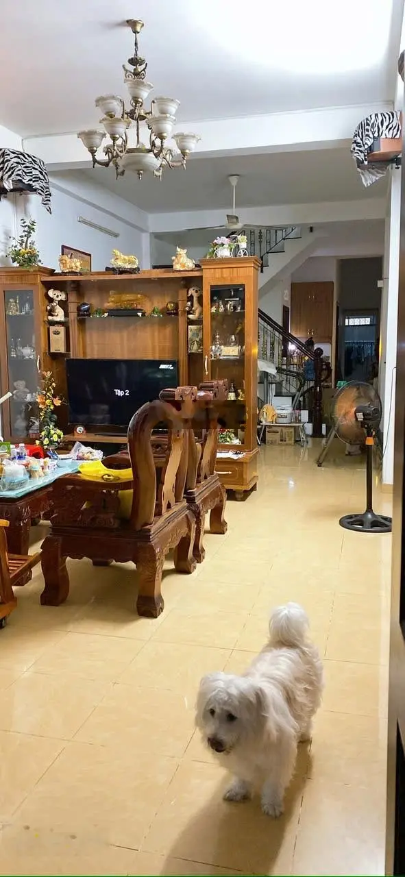Bán nhà mặt tiền đường B2, P. Tây Thạnh, diện tích 4mx25m, XD: Hầm, 2 lầu, sân thượng, SH hoàn công