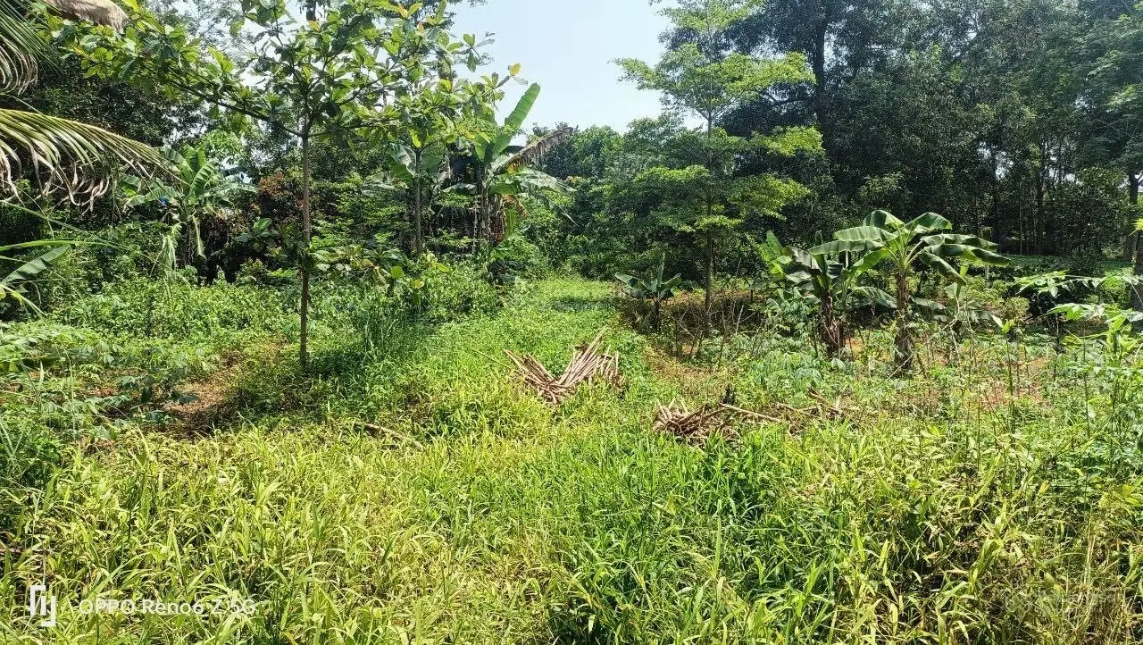 Đất nghỉ dướng Ba Trại MT dài hơn 50m giá nhỉnh 2tr/m2. Gần trường học trung tâm chợ đường DT86