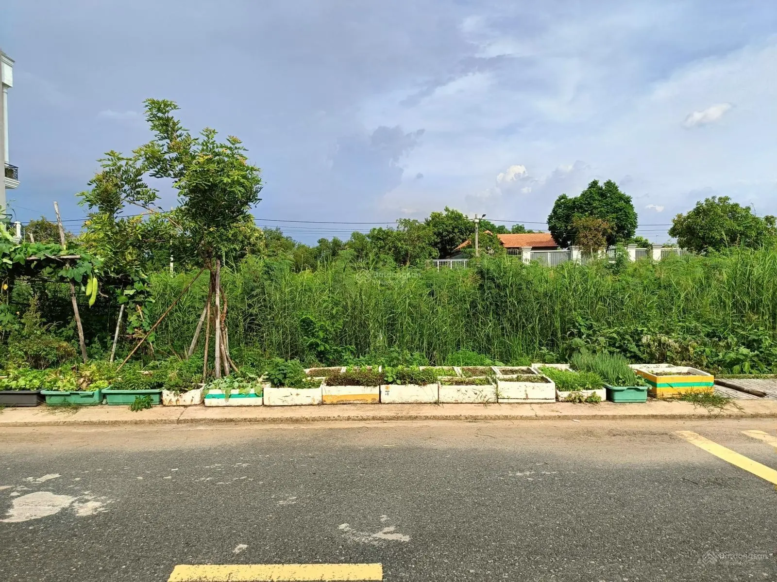 56m2(4x14), DA Đảo Kim Cương, sạch đẹp, hướng T, B, đường nhựa 9m. P Trường Thạnh, TP Thủ Đức, HCM