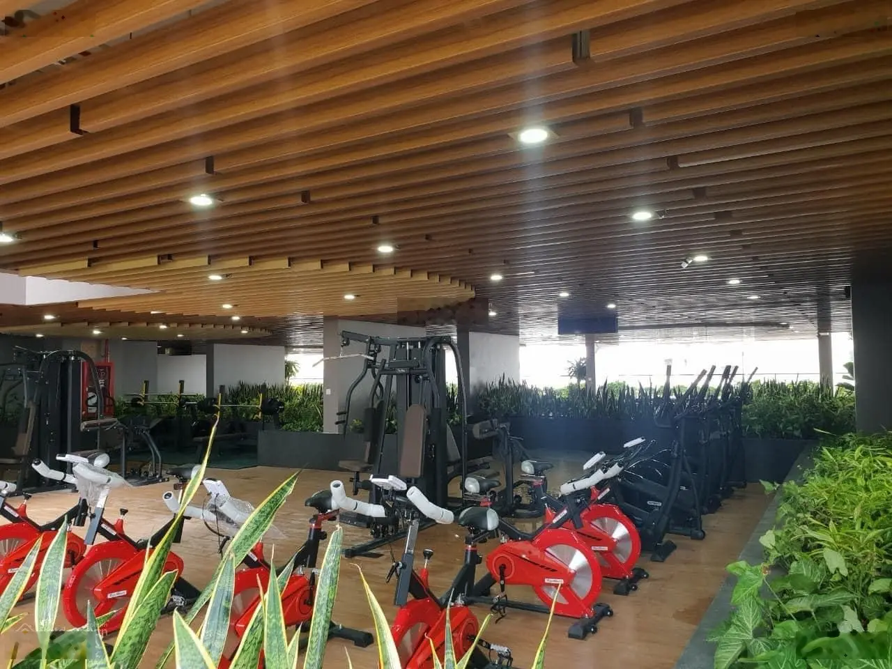 Duy nhất một căn 2PN, Opal boulevard giá chỉ 2,6 tỷ, tin thật đăng là có.